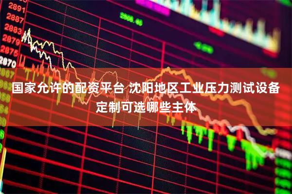 国家允许的配资平台 沈阳地区工业压力测试设备定制可选哪些主体