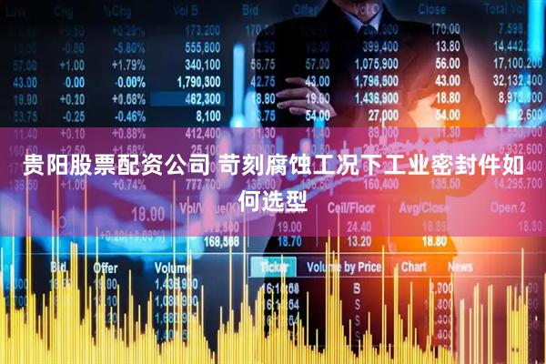 贵阳股票配资公司 苛刻腐蚀工况下工业密封件如何选型